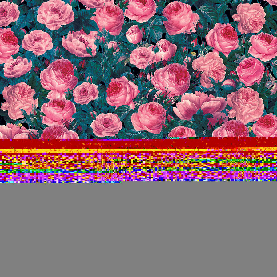 infusible ink transferfolienmuster kohlrose